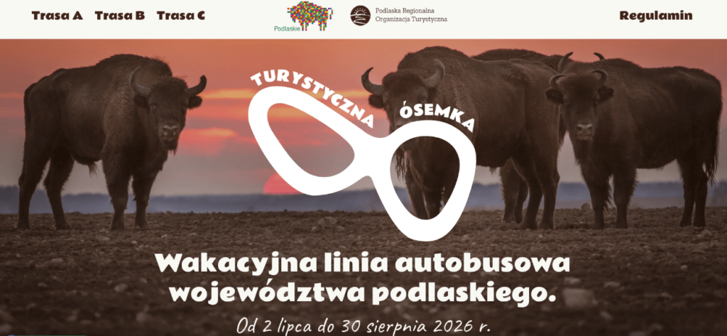 turystyczna 8 bialowieza